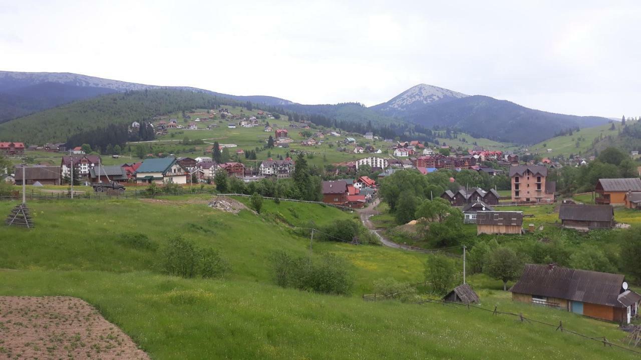 Bee House Поляниця Апартаменти Bukovel Bagian luar foto